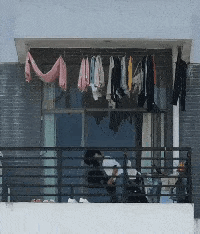 笑一笑，53张搞笑动图：他到现在，都还没意识到他拿了个啥吧！-53.jpg