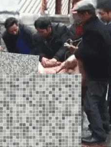 笑一笑，53张搞笑动图：他到现在，都还没意识到他拿了个啥吧！-100.jpg