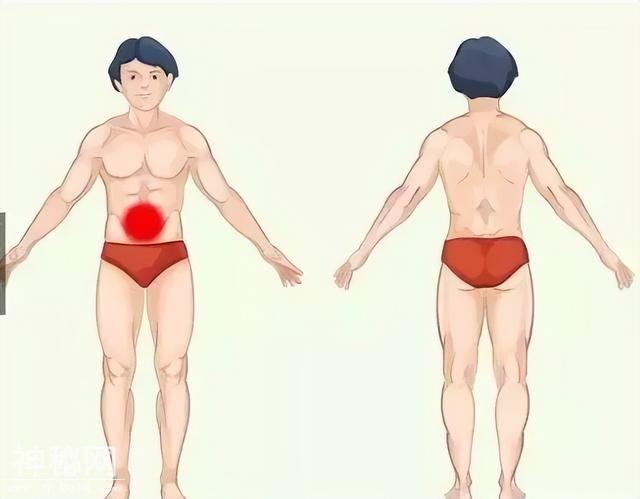 身体的语音：疼痛对照表！准的吓人！-3.jpg