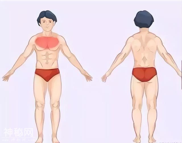 身体的语音：疼痛对照表！准的吓人！-5.jpg