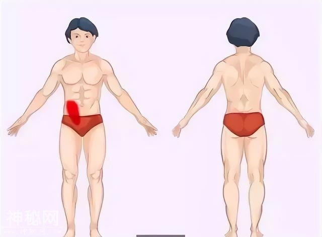 身体的语音：疼痛对照表！准的吓人！-4.jpg