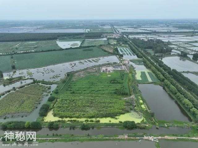 回望2024｜揭开时间的秘密，那些来自考古的“新消息”-10.jpg