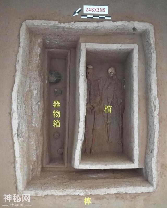 回望2024｜揭开时间的秘密，那些来自考古的“新消息”-17.jpg