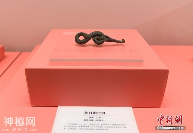 115件（套）“蛇”相关馆藏文物亮相重庆中国三峡博物馆-3.jpg