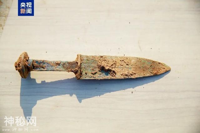 已出土文物千余件！河南漯河建高铁发现古墓群-3.jpg