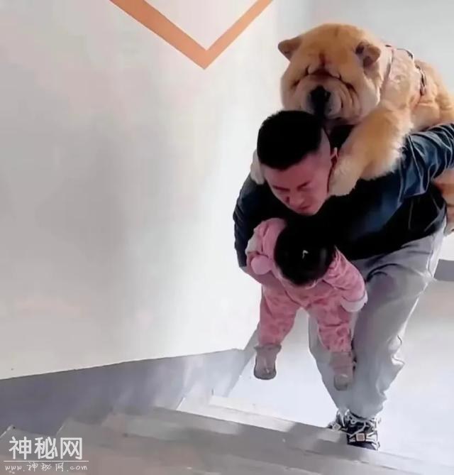 真有趣！“100张”搞笑图片，专治不开心，你被第几图逗笑了？-7.jpg