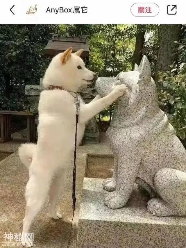 真有趣！“100张”搞笑图片，专治不开心，你被第几图逗笑了？-8.jpg