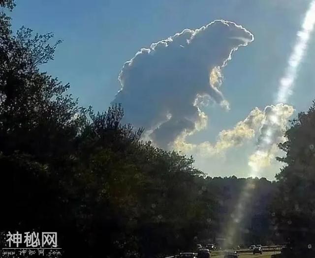 真有趣！“100张”搞笑图片，专治不开心，你被第几图逗笑了？-9.jpg