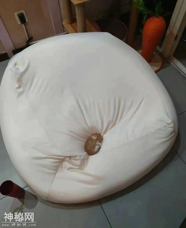 真有趣！“100张”搞笑图片，专治不开心，你被第几图逗笑了？-19.jpg