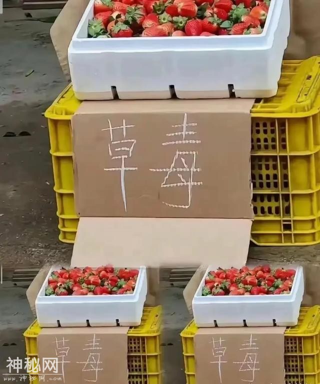 真有趣！“100张”搞笑图片，专治不开心，你被第几图逗笑了？-27.jpg