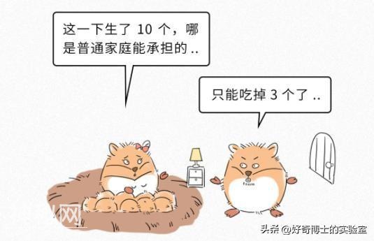 自然界有哪些表面呆萌，背地里却非常“变态”的动物？-4.jpg