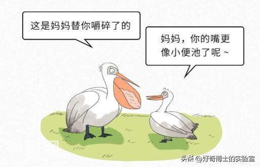 自然界有哪些表面呆萌，背地里却非常“变态”的动物？-8.jpg