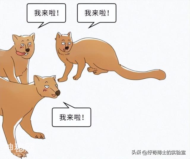 自然界有哪些表面呆萌，背地里却非常“变态”的动物？-23.jpg