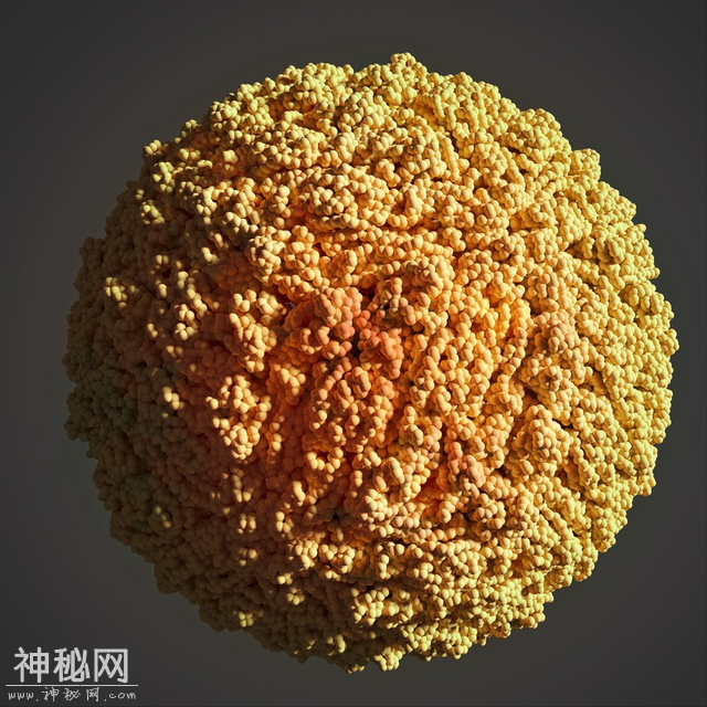 盘点史上最恐怖的十大病毒，新冠没有上榜，艾滋病毒仅排第三-8.jpg