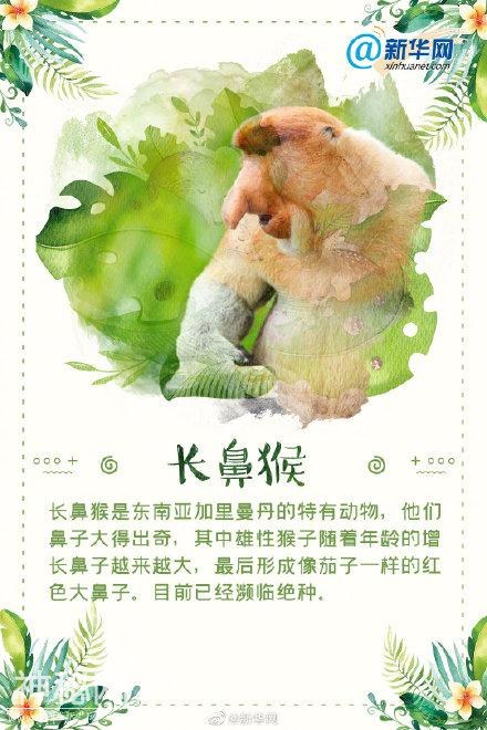 这些“奇葩”的生物，你都认识吗？-2.jpg
