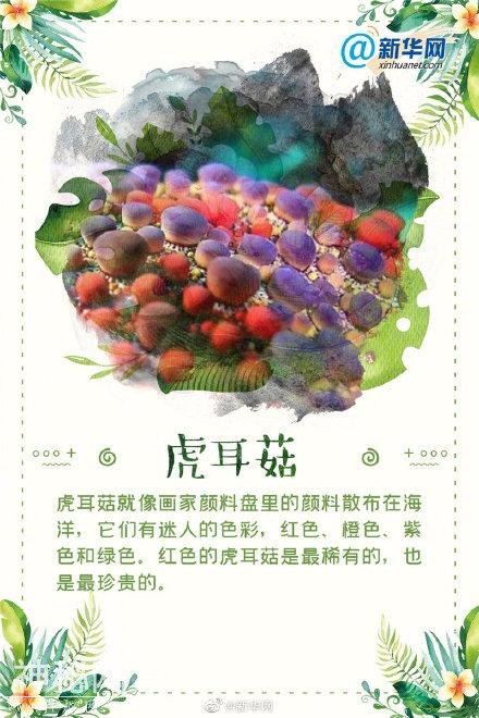这些“奇葩”的生物，你都认识吗？-4.jpg