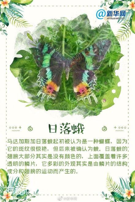 这些“奇葩”的生物，你都认识吗？-3.jpg
