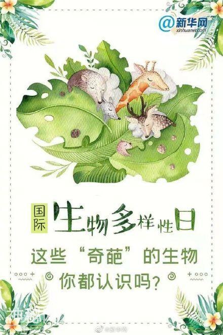 这些“奇葩”的生物，你都认识吗？-5.jpg