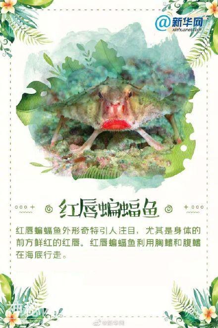 这些“奇葩”的生物，你都认识吗？-9.jpg