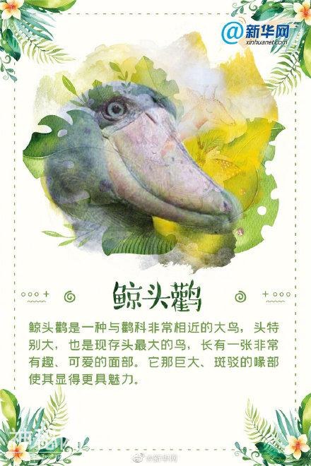 这些“奇葩”的生物，你都认识吗？-8.jpg