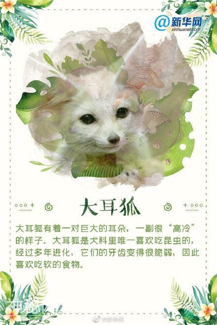 这些“奇葩”的生物，你都认识吗？-7.jpg