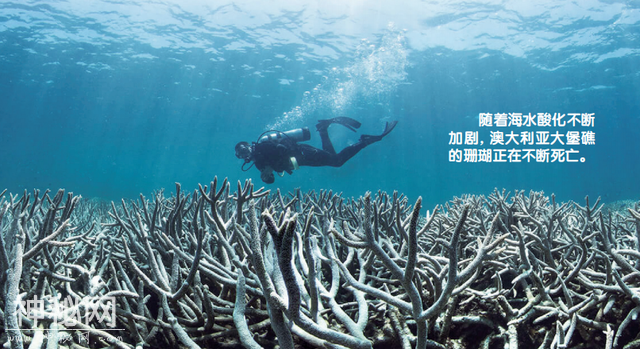 人类世：新地质年代？-2.jpg