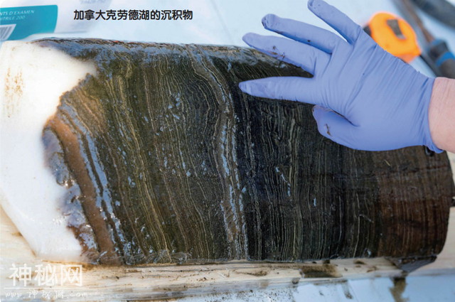 人类世：新地质年代？-4.jpg