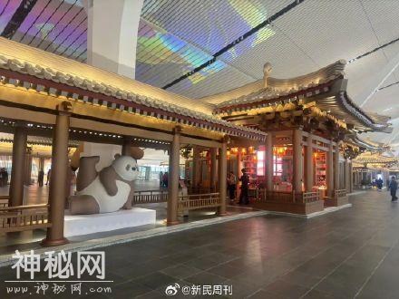 建机场挖出4300座古墓-3.jpg
