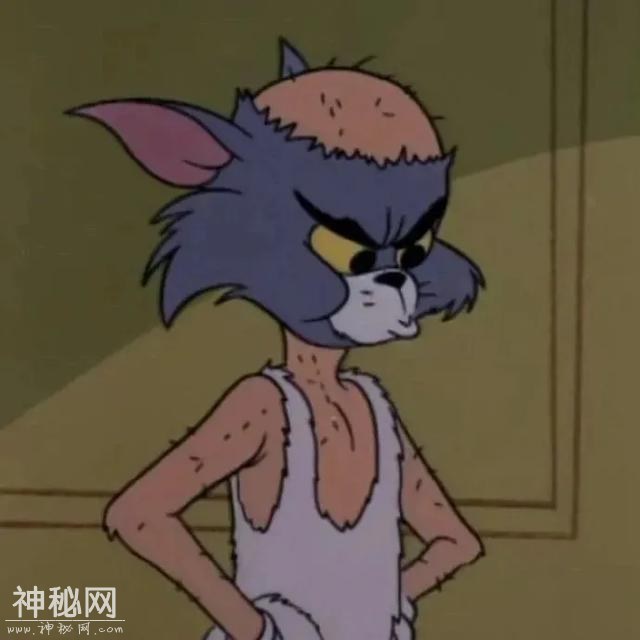搞笑段子：极品笑话精选，笑一笑十年少，让人笑翻，开心最重要-5.jpg