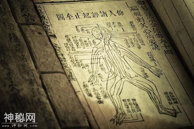 人身上自带的，“特效保健穴”-1.jpg