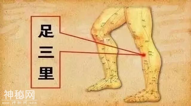 人身上自带的，“特效保健穴”-4.jpg