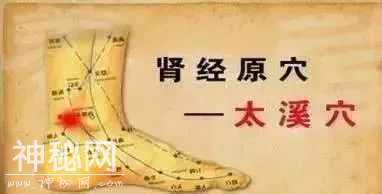 人身上自带的，“特效保健穴”-3.jpg