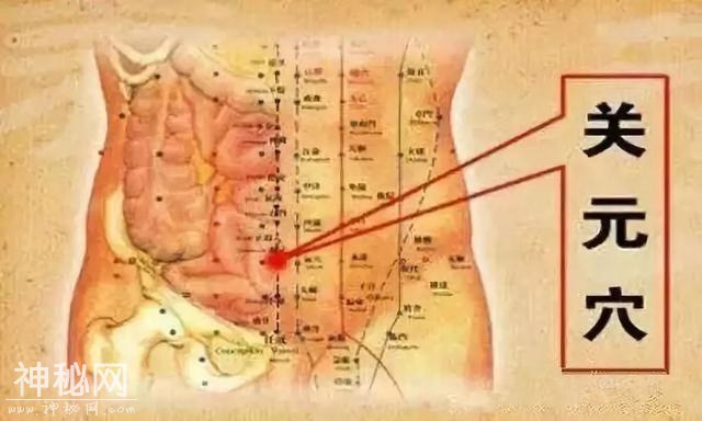 人身上自带的，“特效保健穴”-6.jpg