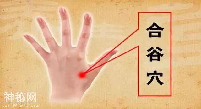 人身上自带的，“特效保健穴”-5.jpg