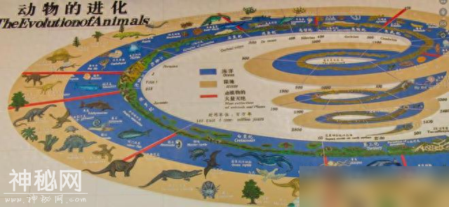 生物进化的方向为何不是永生，而会选择繁衍呢？-1.jpg
