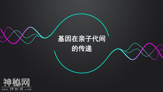 生物进化的方向为何不是永生，而会选择繁衍呢？-7.jpg