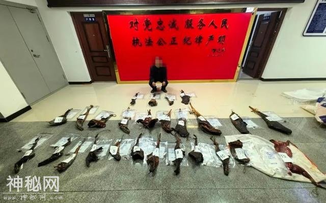 家中查获疑似野生动物尸块20余块！1人被岚皋警方抓获-3.jpg