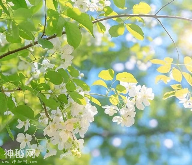 治愈-1.jpg