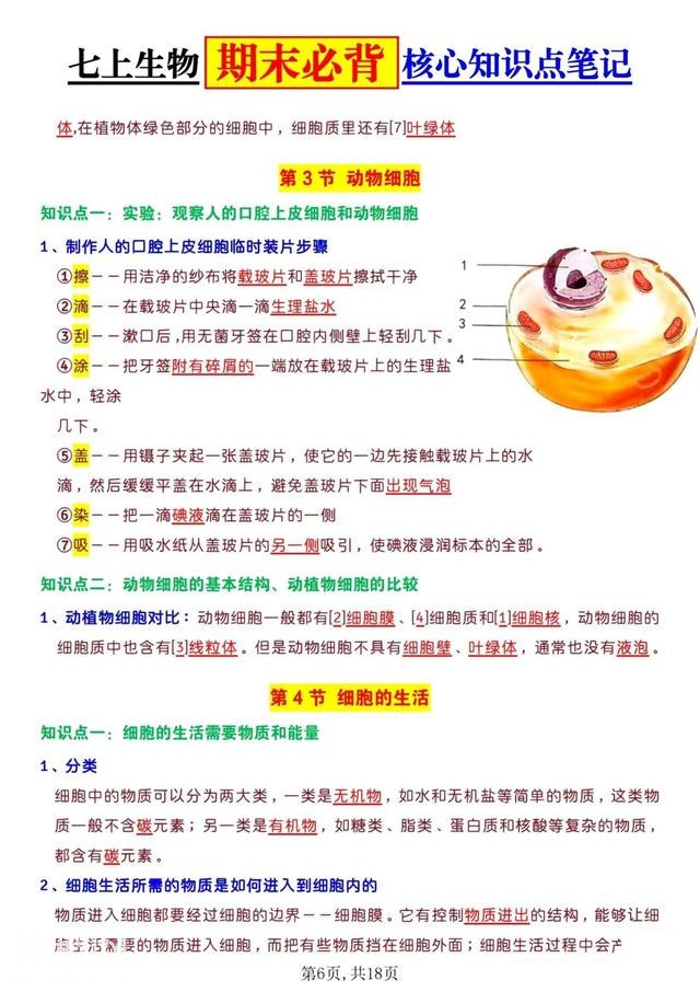 生物老师，把24年七上生物期末复习55个核心知识点，做成抢分答案-6.jpg