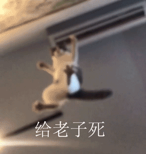 30张搞笑动图，你能憋住笑看到第几张：有杀气，有杀气，溜了溜了-19.jpg