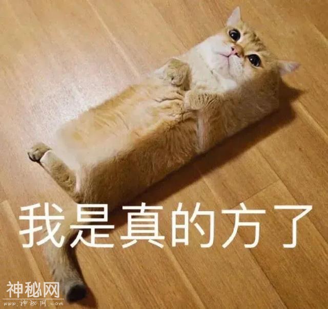 搞笑段子:笑掉大牙的搞笑段子，幽默逗趣-6.jpg