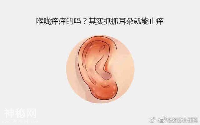 原来人的身体竟然有这么多神奇之处，需要的时候试试看-1.jpg