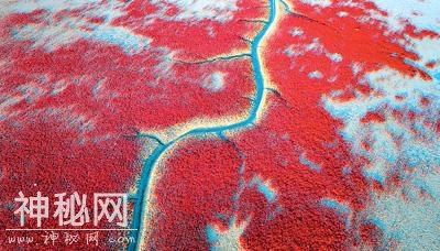 生物多样性的“湿”意画卷（遗产小道·海岸带）-1.jpg