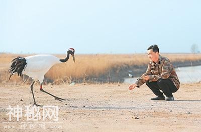 生物多样性的“湿”意画卷（遗产小道·海岸带）-4.jpg