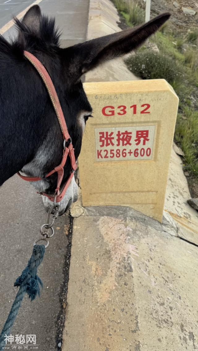 山东青州男子徒步旅行7000公里，花费5万元:15天走完罗布泊无人区-6.jpg