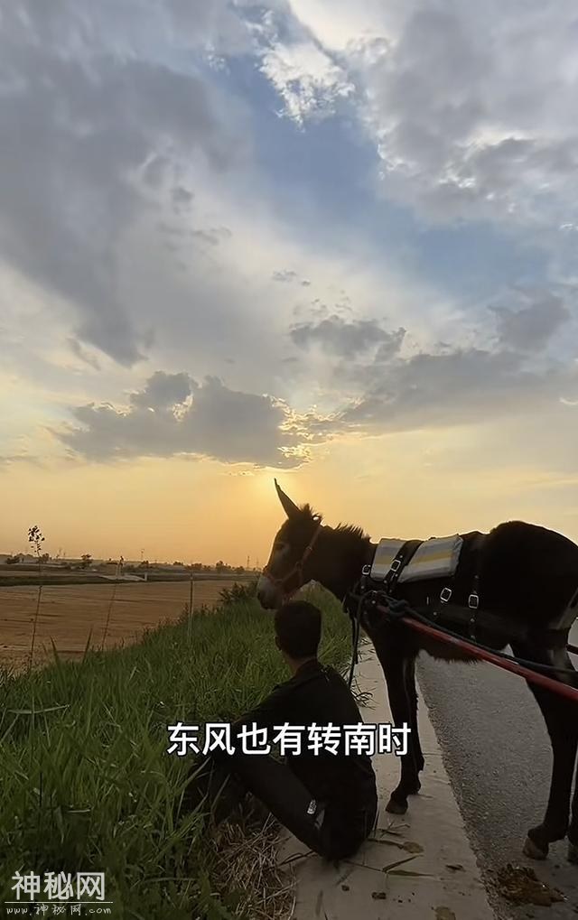 山东青州男子徒步旅行7000公里，花费5万元:15天走完罗布泊无人区-22.jpg