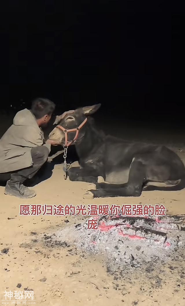 山东青州男子徒步旅行7000公里，花费5万元:15天走完罗布泊无人区-47.jpg