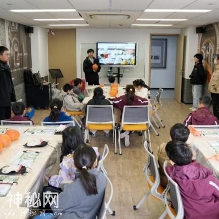 从种子到果实，探索奇妙的南瓜星球-12.jpg