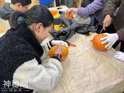 从种子到果实，探索奇妙的南瓜星球-17.jpg