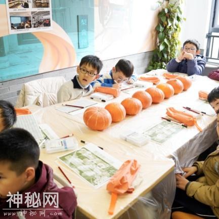 从种子到果实，探索奇妙的南瓜星球-13.jpg